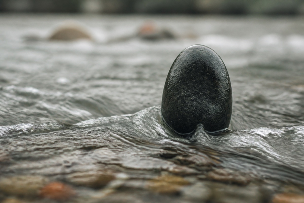 Executive presence training concept showing a smooth dark river stone standing steady in flowing water.